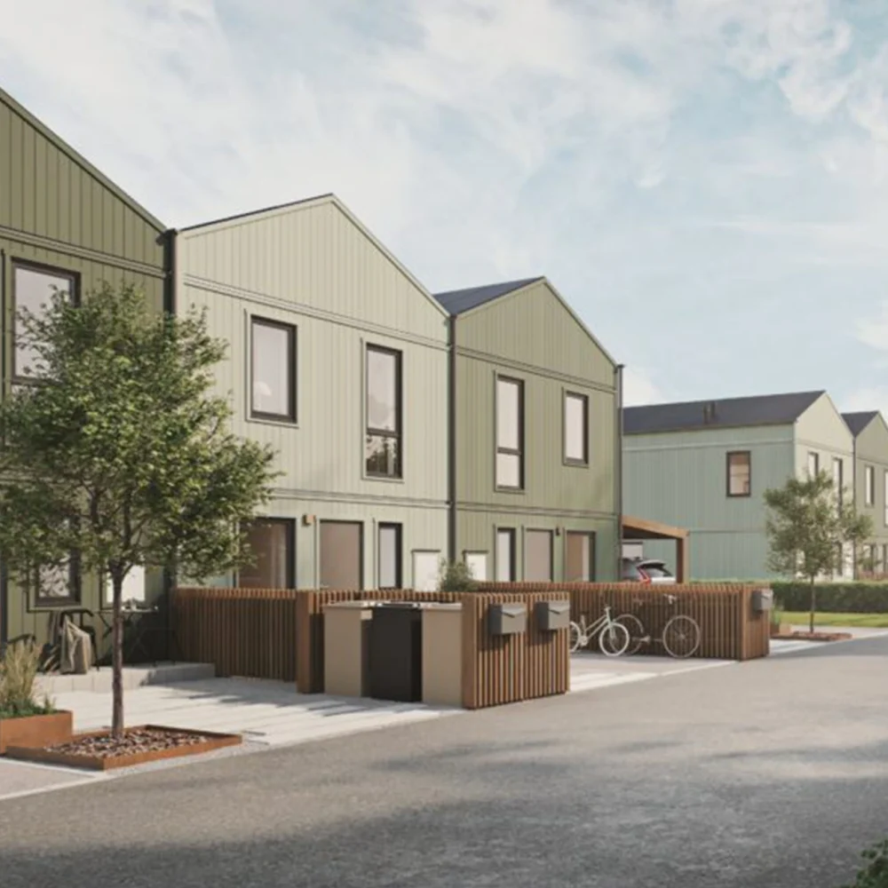 half-media-svanmossen-1