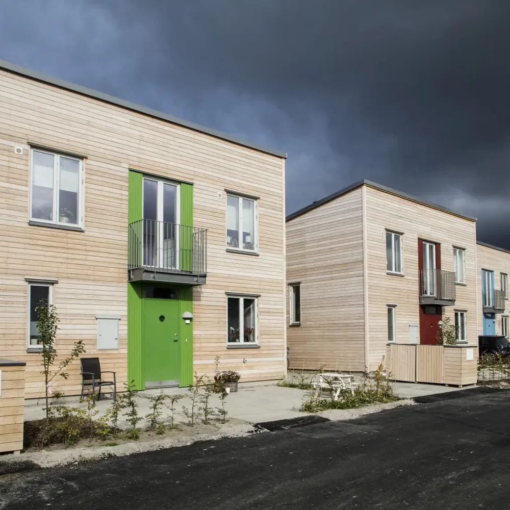 Mynta-6-e1475140339976