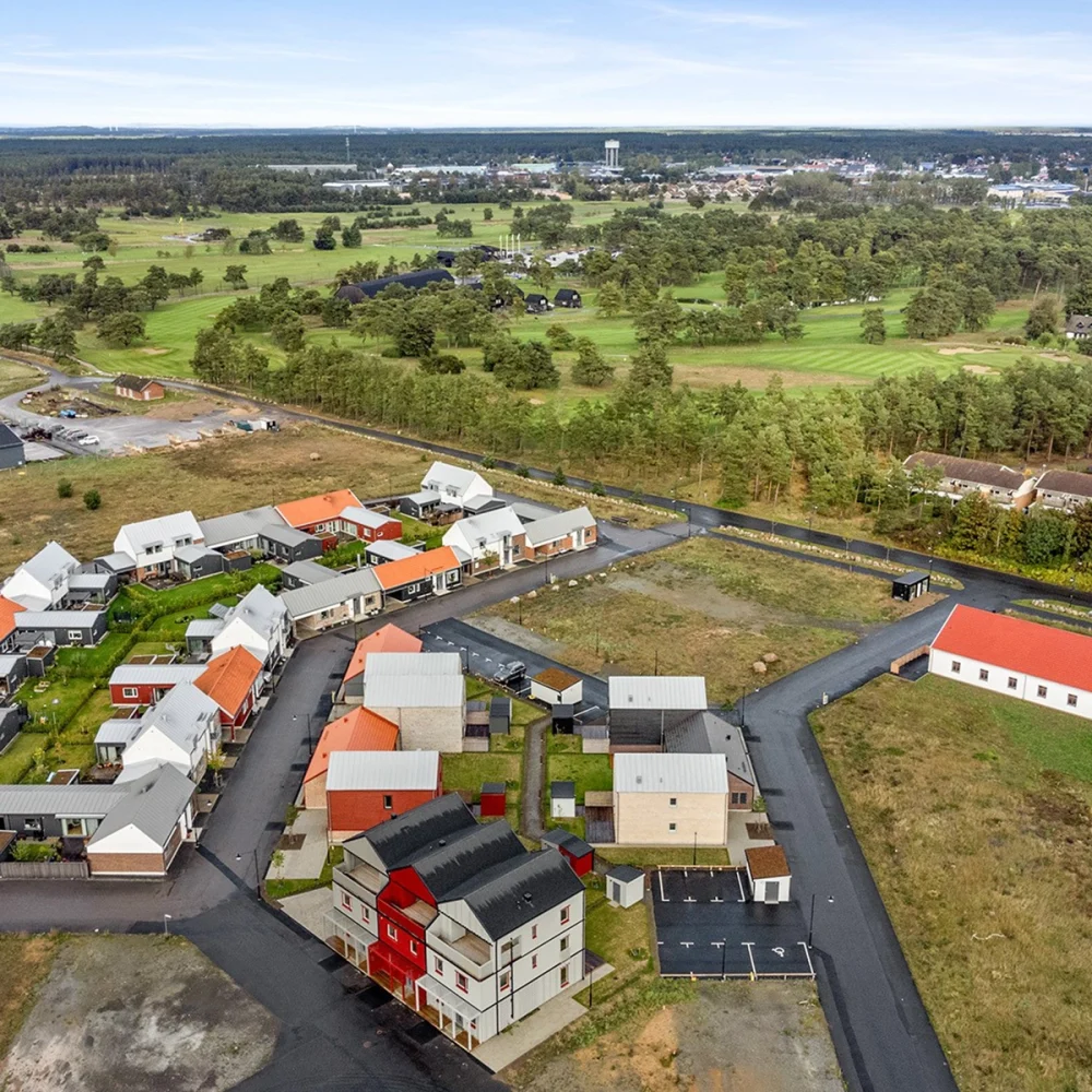 half-media-brf-rosa-1